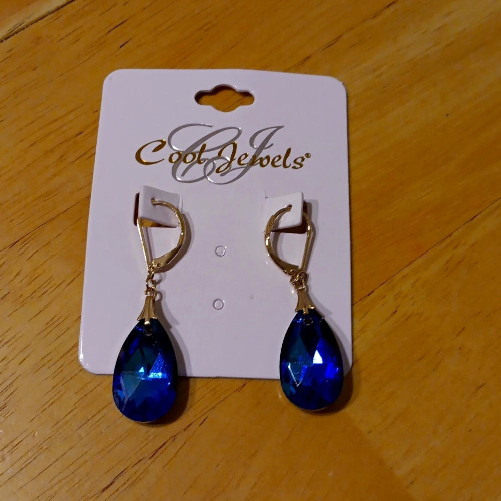Fashion Earrings NWT ✨️ 😍